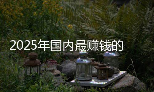 的车第一悬念没有赚钱排名年国内最谁企是